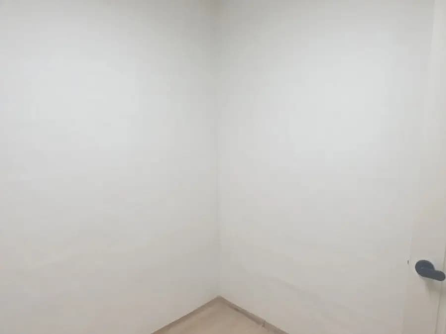합지도배 현장 사진